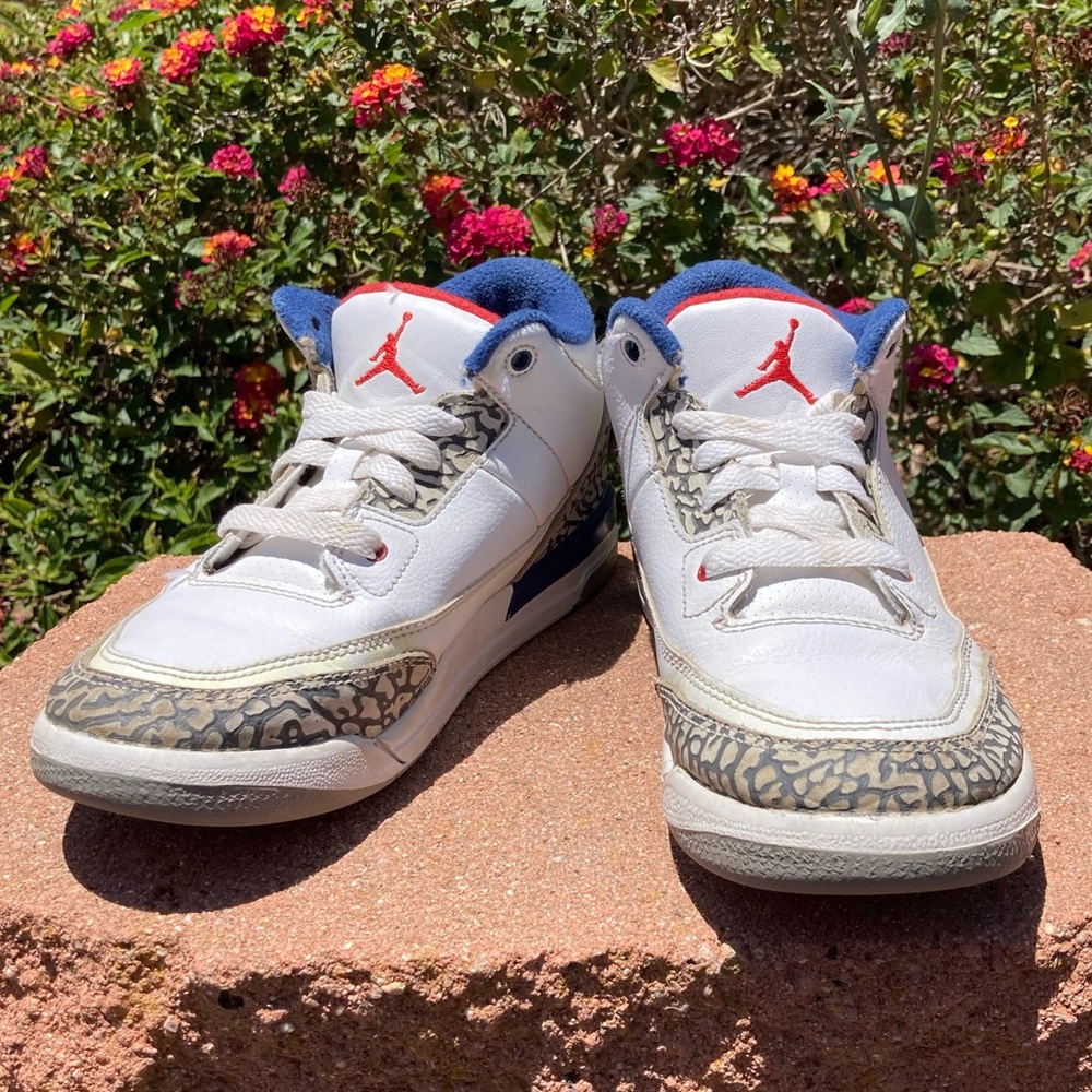 Air Jordan 3 Retro PS True Blue